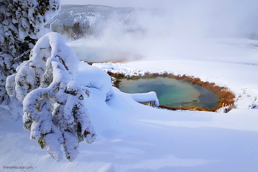 geysers