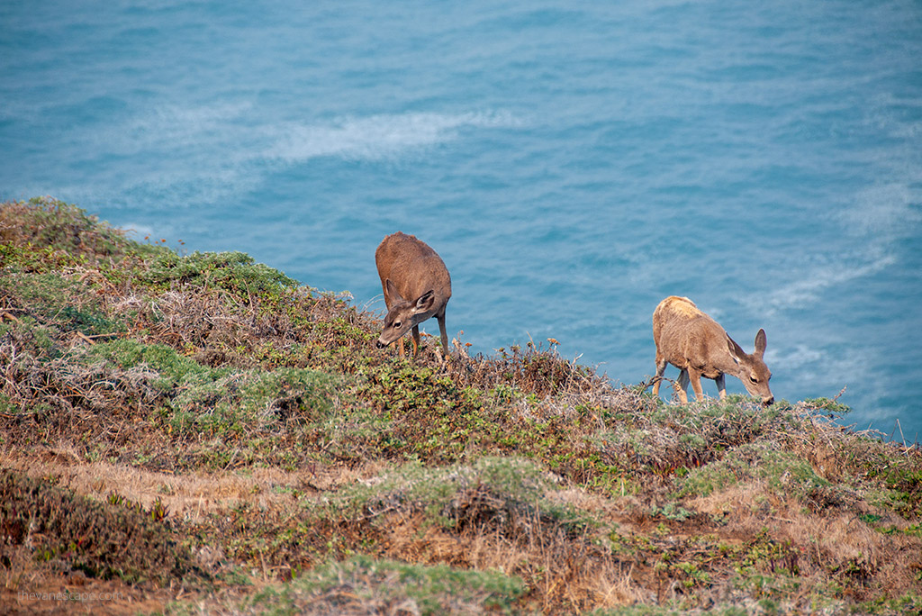  Point Reyes National Seashore