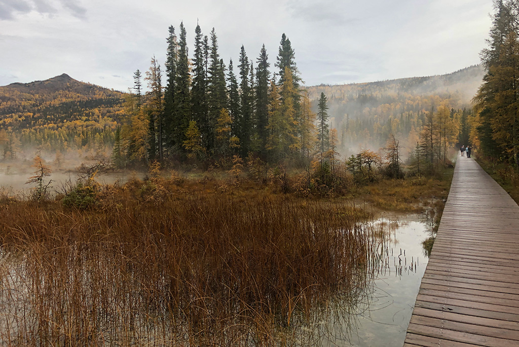 hiking path among grass and water to Liard River Hot Springs