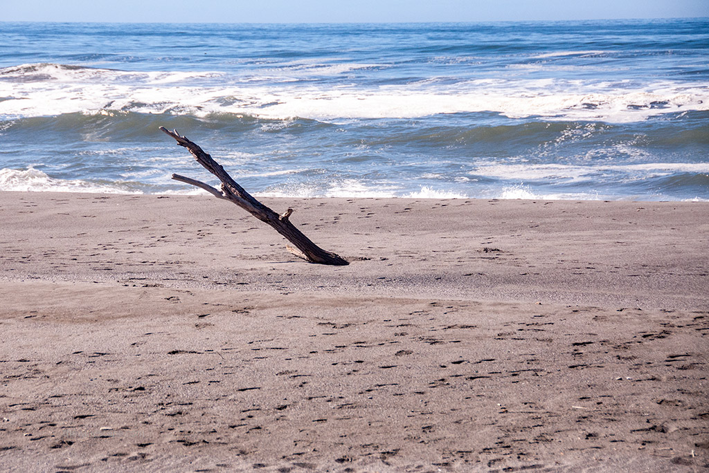 Point Reyes Beaches