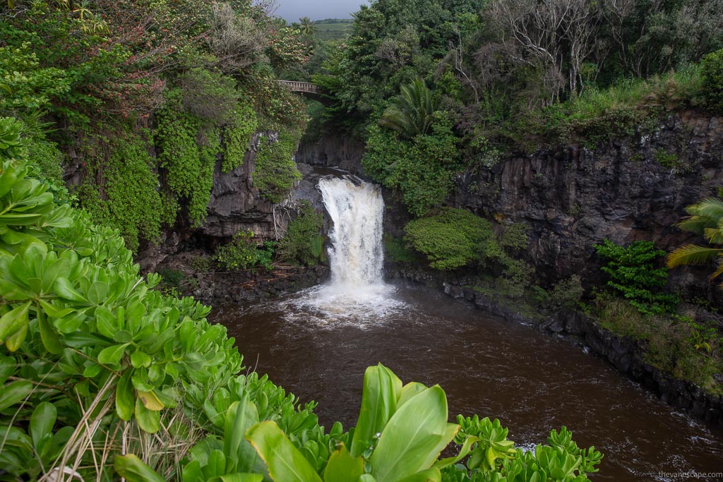 Seven Sacred Pools on Maui - ‘Ohe’o Gulch among lush greenery