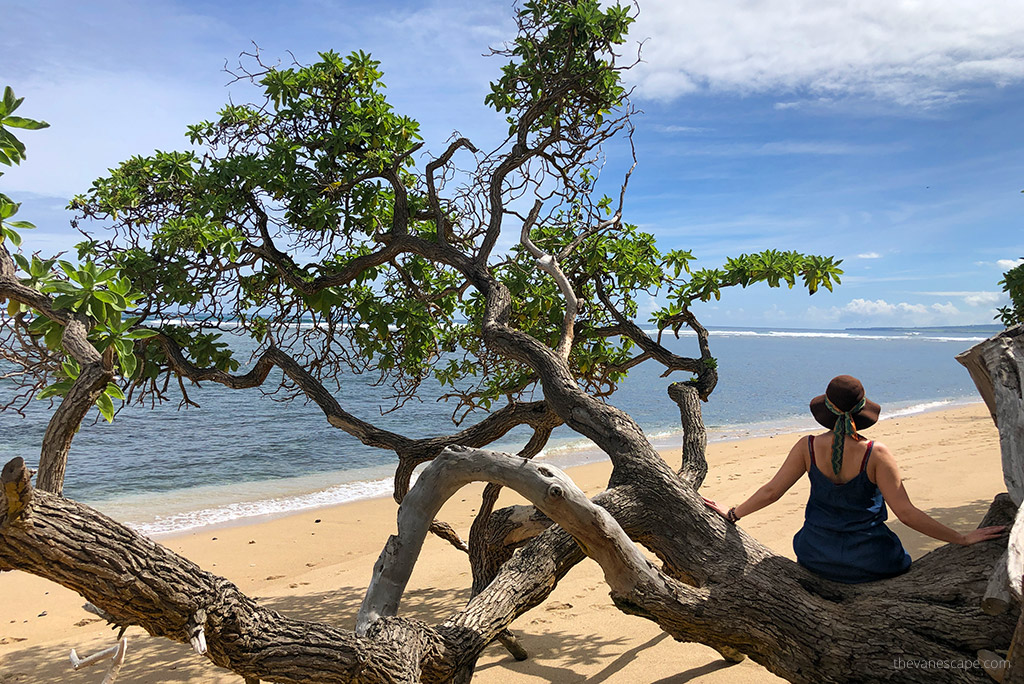 Agnes Stabinska, the author, sits on a tree branch on a sandy beach in Maui and observes the calm, blue sea.