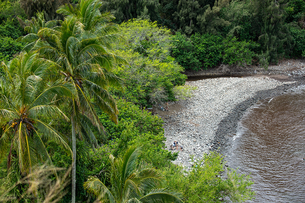 One of the best Beaches in Maui with palm trees and calm water.