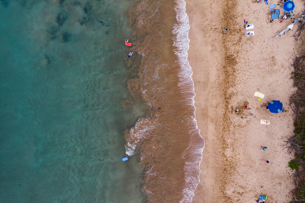 A view of one of Maui's sandy beaches, which Chris took with a drone. People are sunbathing on the beach, the sea from above has a beautiful light color.