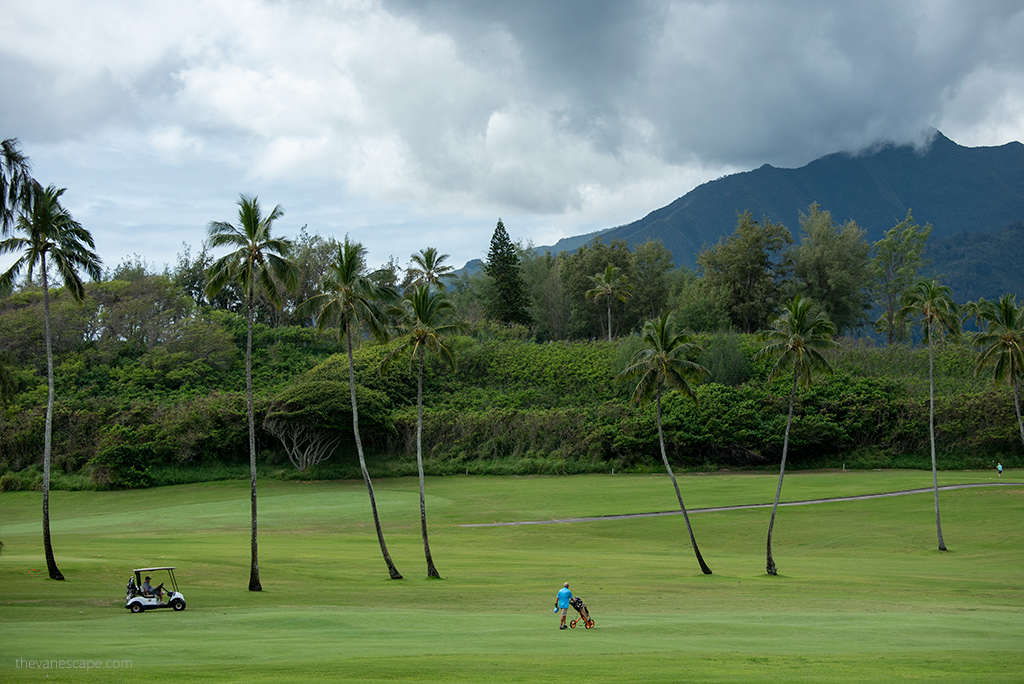 A golfer and a golf cart on a beautiful palm-covered golf course in Maui.