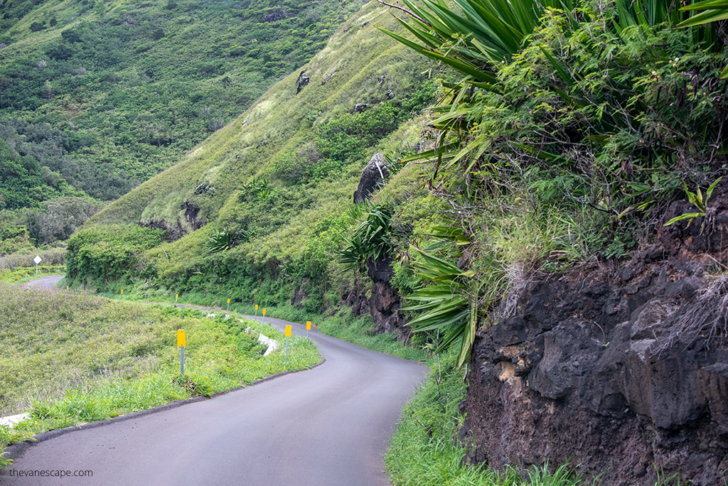 Kahekili Highway - Hawaii Route 340: lush greenery and sharp turn