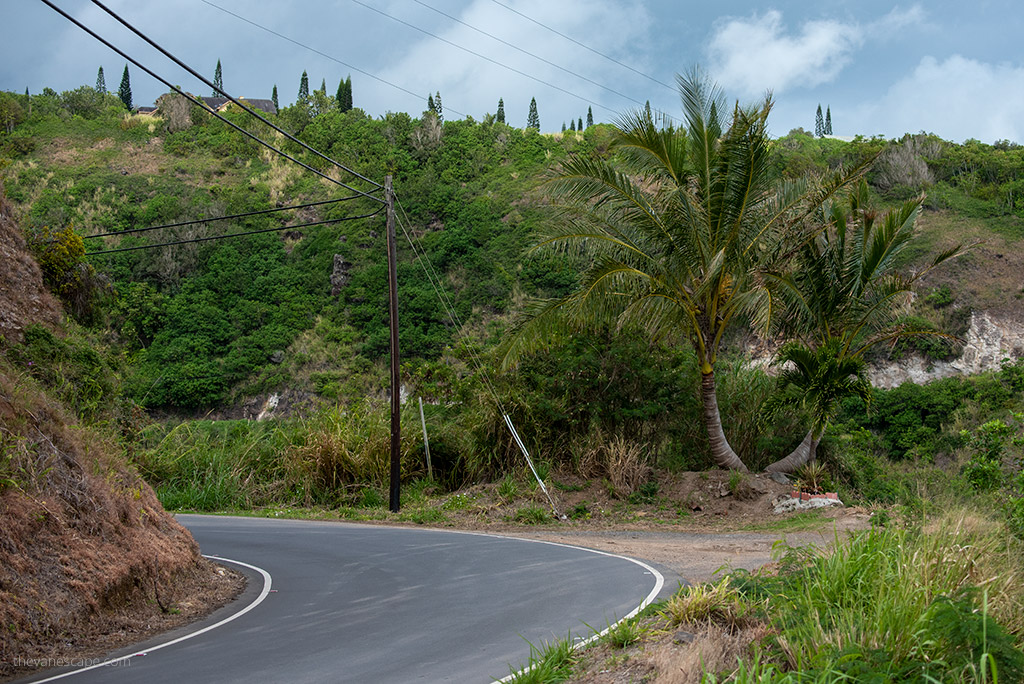 Kahekili Highway: sharp turn among greenery.