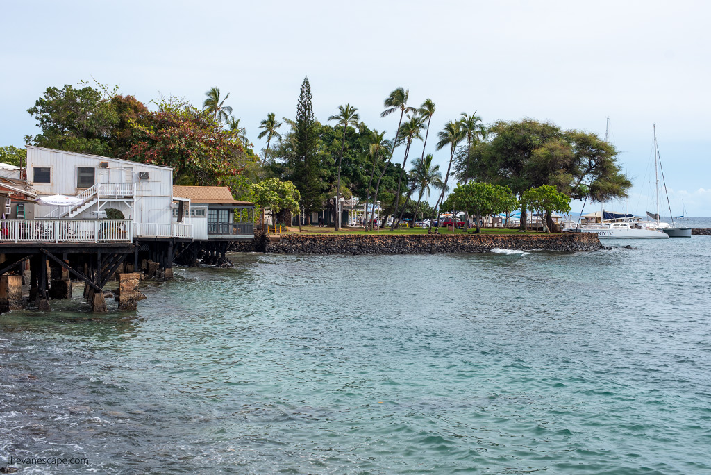 houses on Maui.