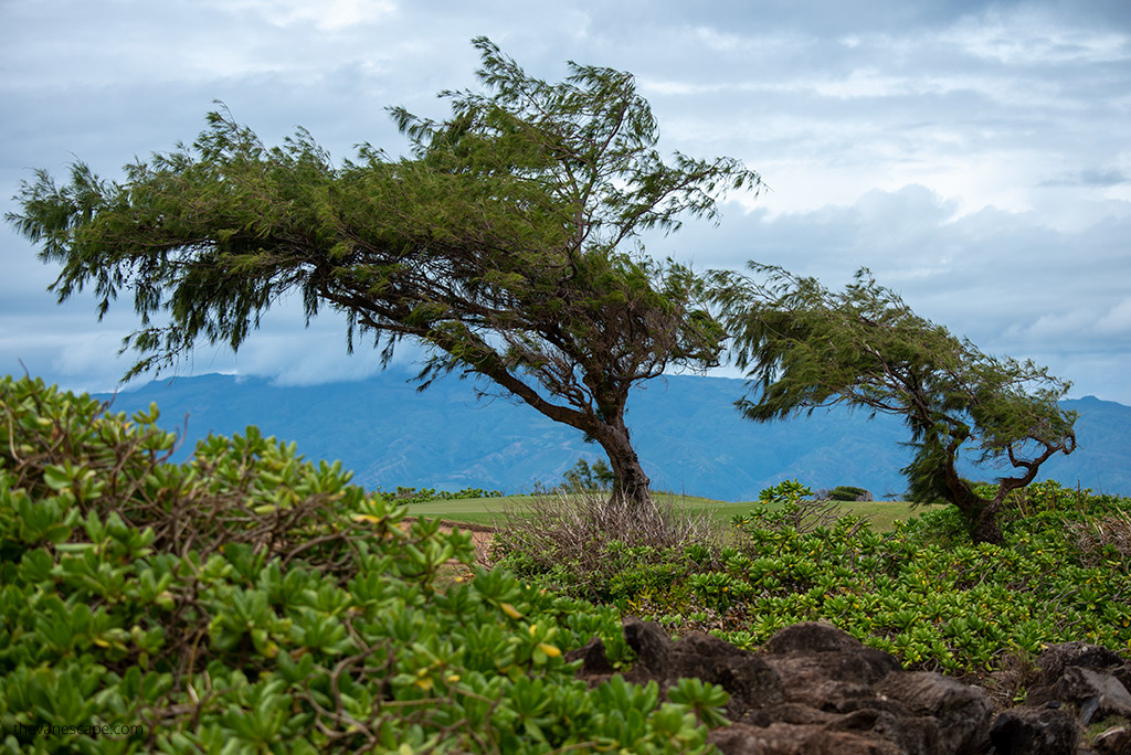 Kahekili Highway - Hawaii Route 340