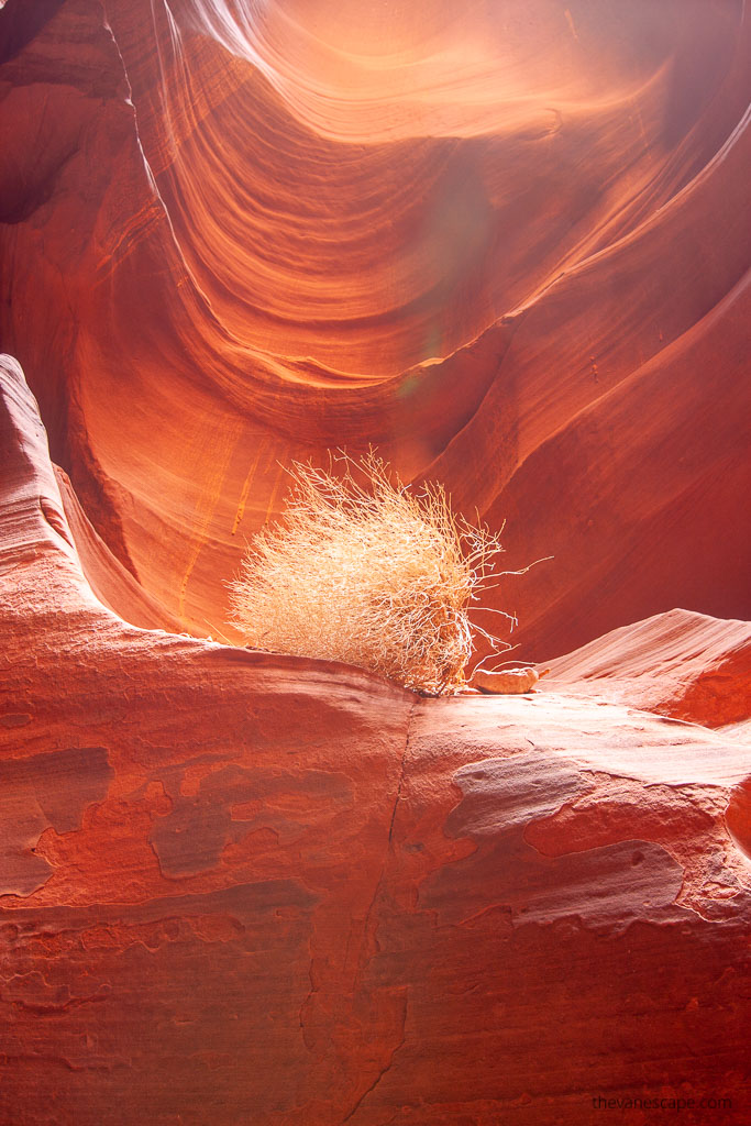 Upper Antelope Canyon 