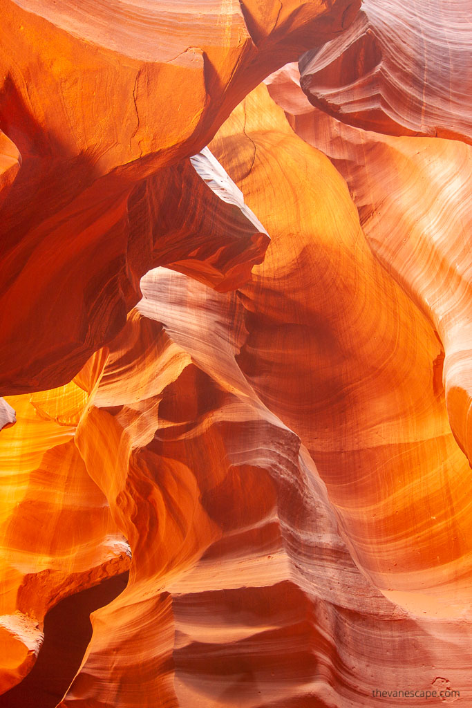 orange wallsi in Upper Antelope Canyon.