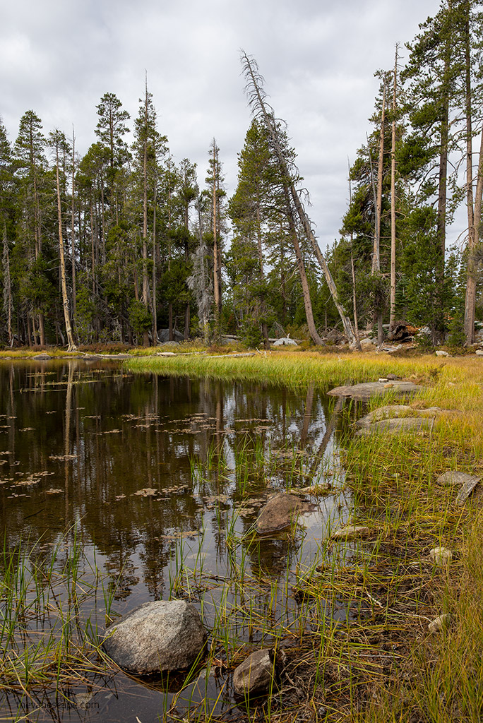 Yosemite 2 Day Itinerary