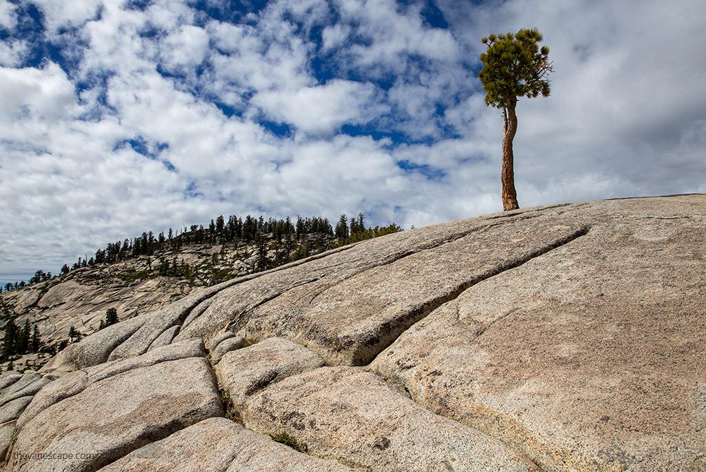 Yosemite 2 Day Itinerary: the view from Tioga Road