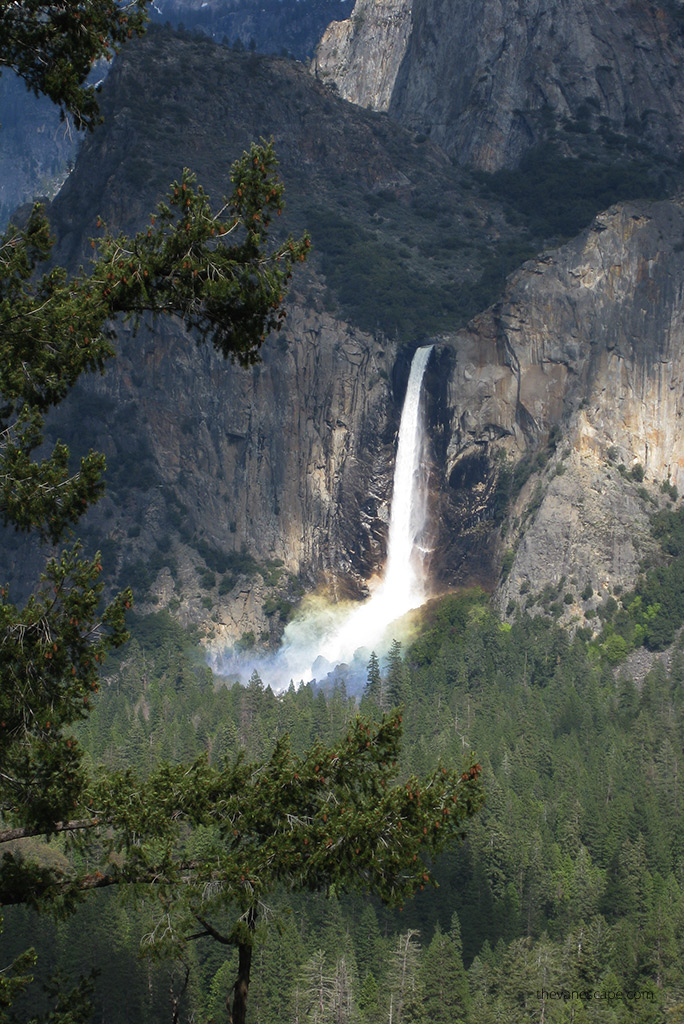 the view from the Hike to Yosemite Falls 