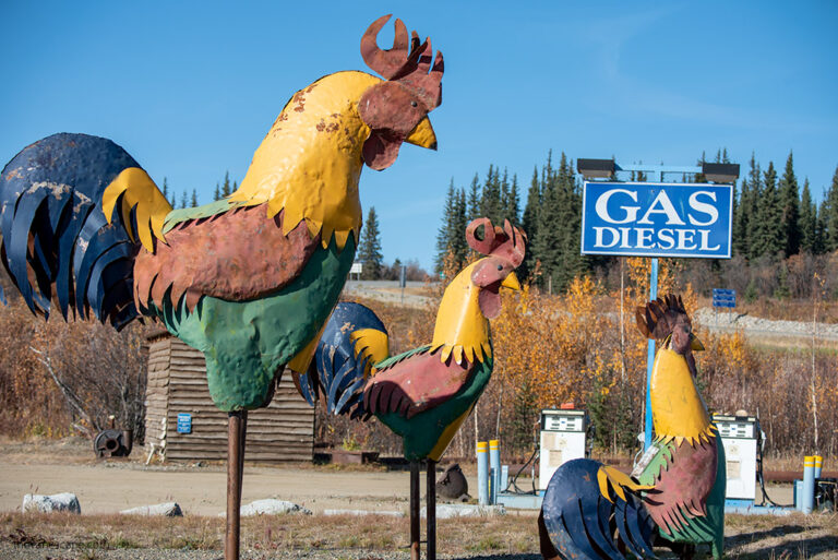 Town of Chicken Alaska