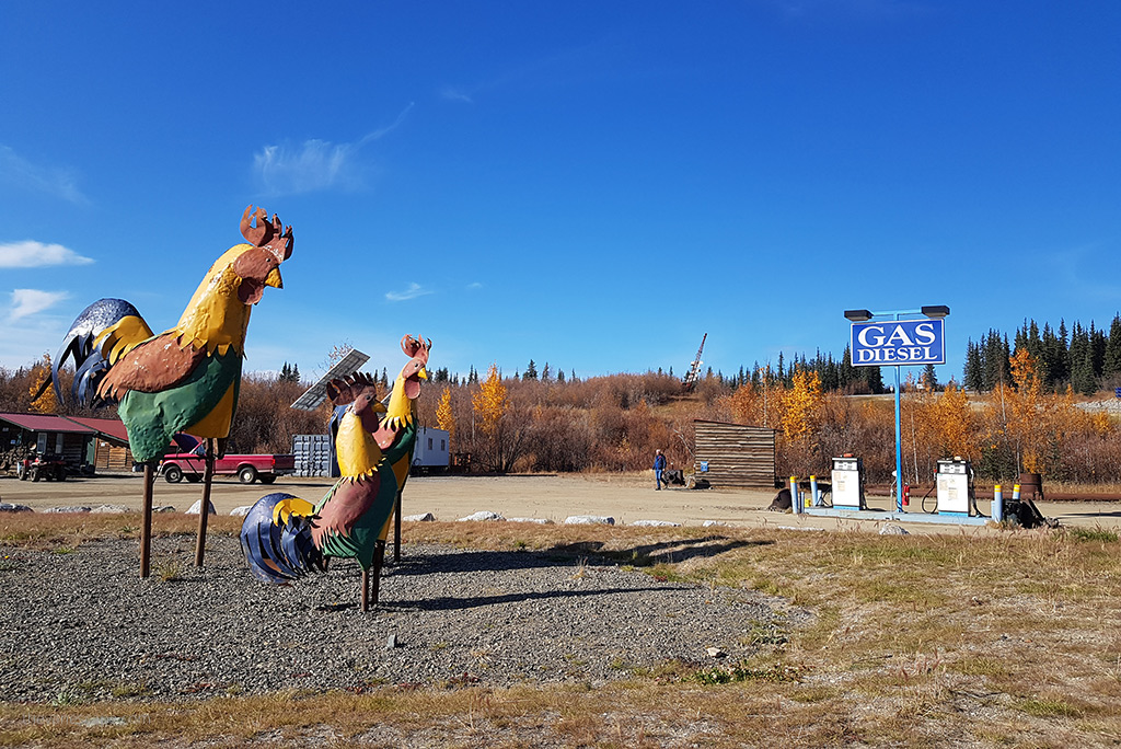 Town of Chicken Alaska 