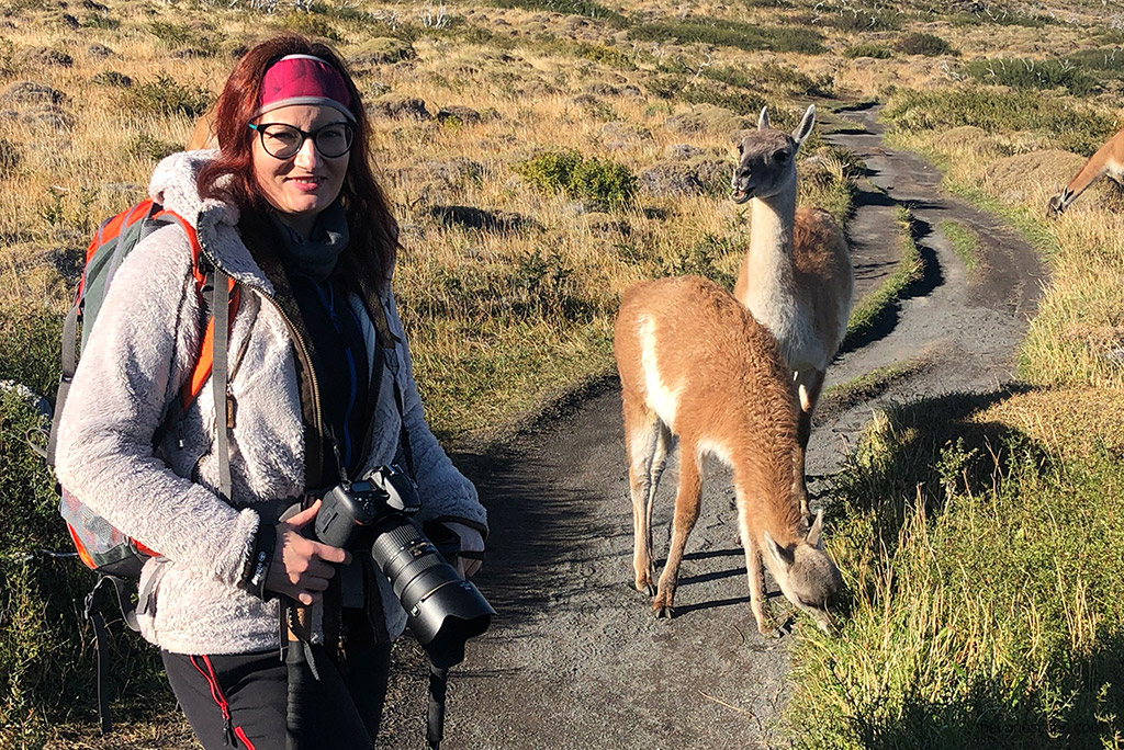 Agnes Stabinska, the author in KUHL Flight Jacket in Argentina, two llamas stand next to her.