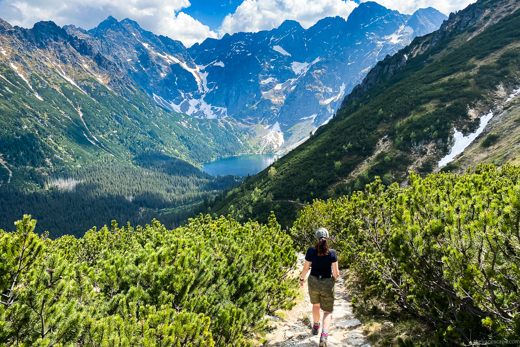 Agnes Stabinska, the author, among trees and mountains with the lake view is hiking in KUHL SPLASH 11" shorts.