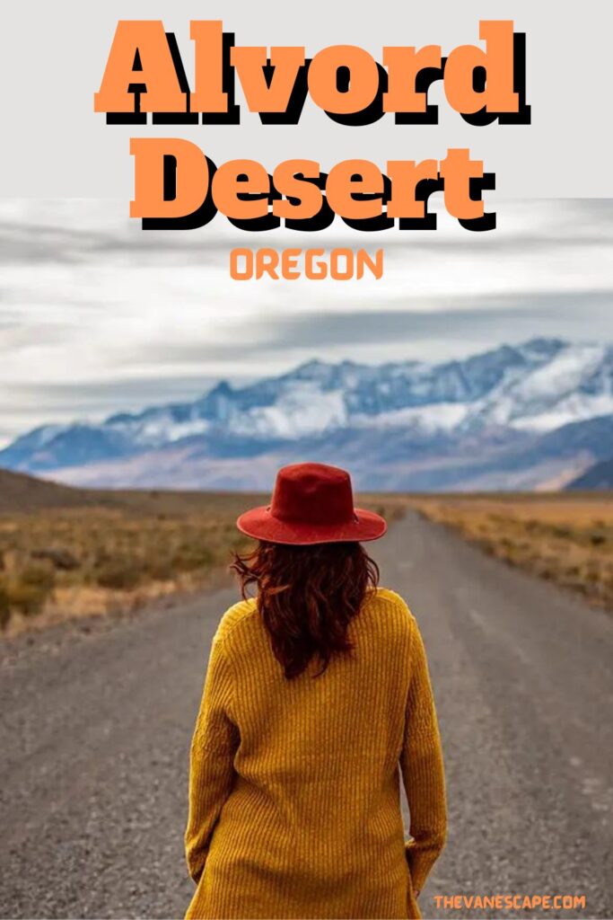 Alvord Desert Oregon: How to Plan a Trip?