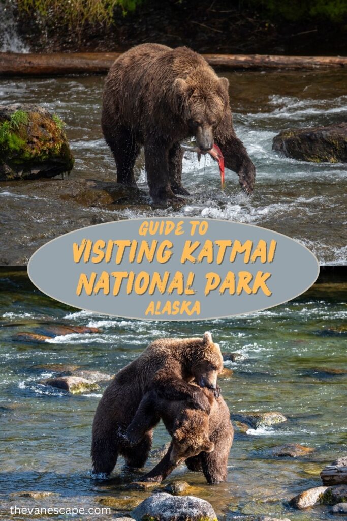 Visiting Katmai National Park – How to Plan a Trip?