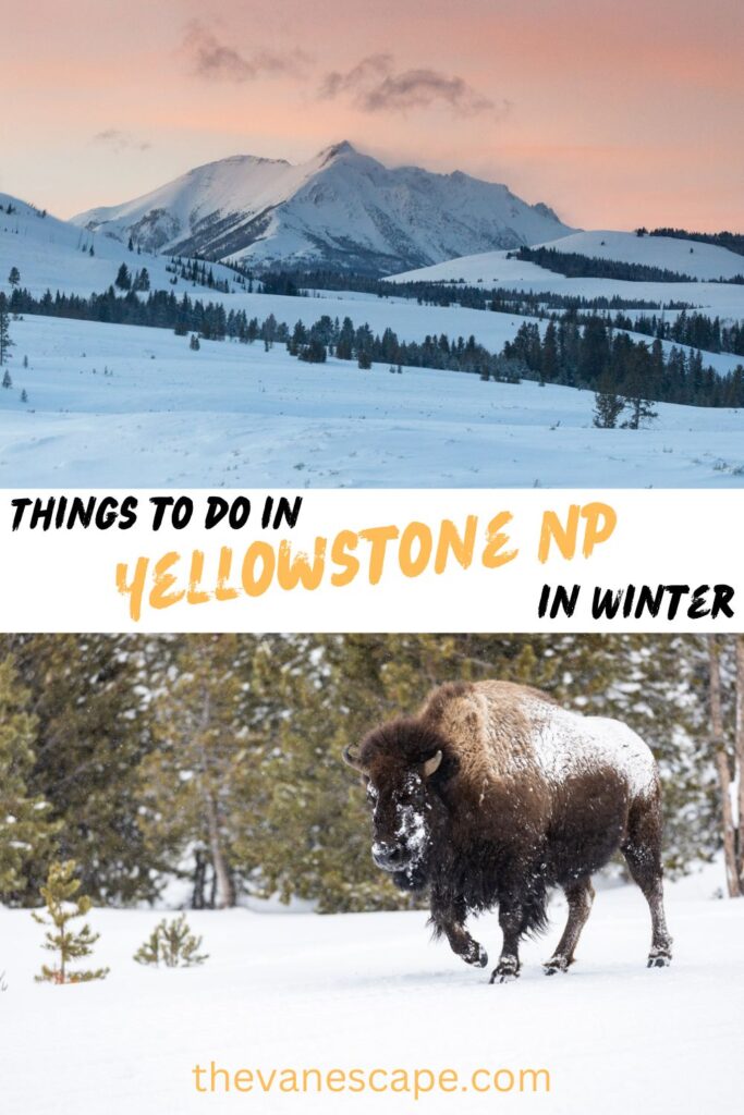 Things to do in Yellowstone in Winter