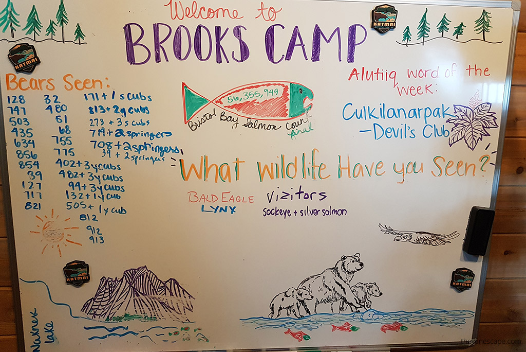 Brooks Camp in Katmai