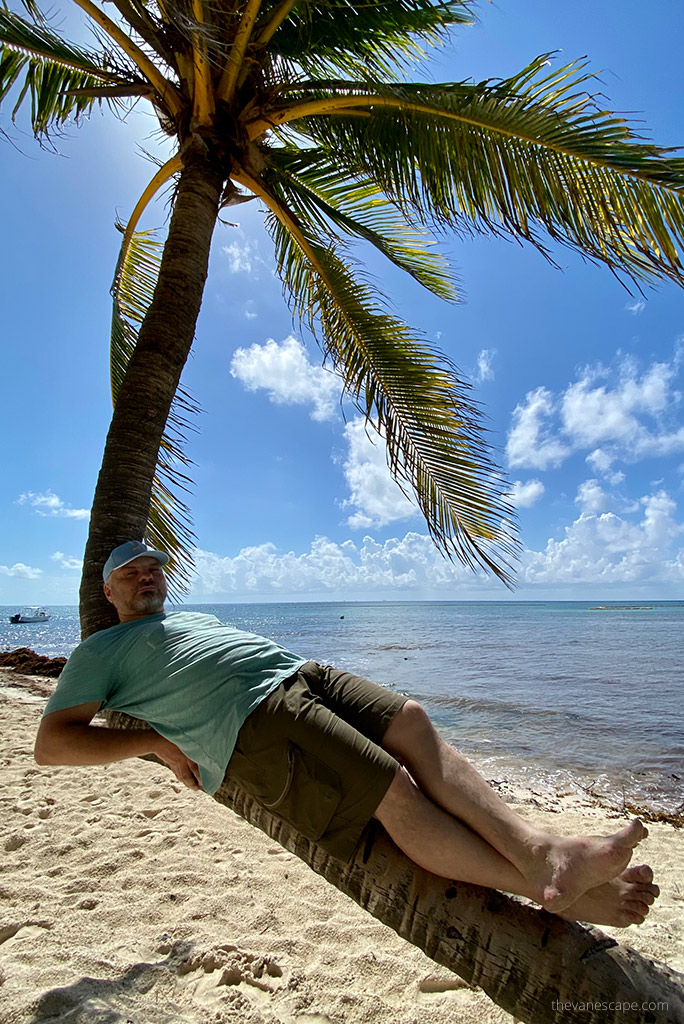 Chris on a palm tree in KUHL AMBUSH Cargo Shorts.