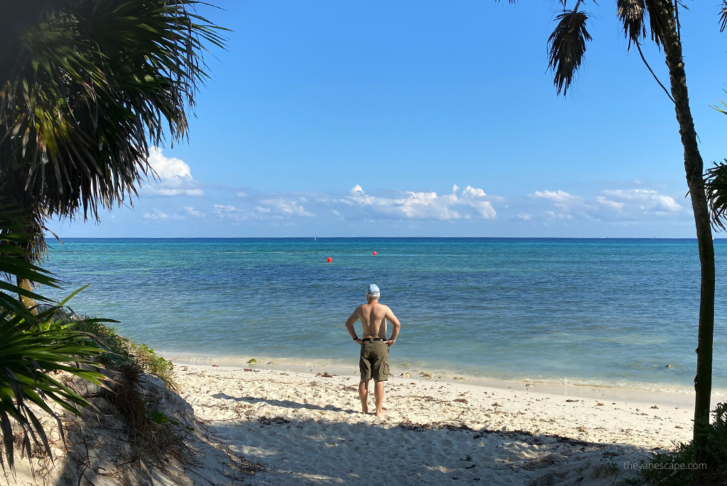 Chris in shorts by Kuhl on the sandy beach in Mexico with palm trees and blue water.