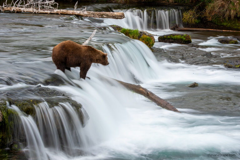 13 Best Things to do in Katmai National Park