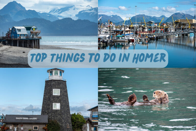 27 Top Things to do in Homer Alaska