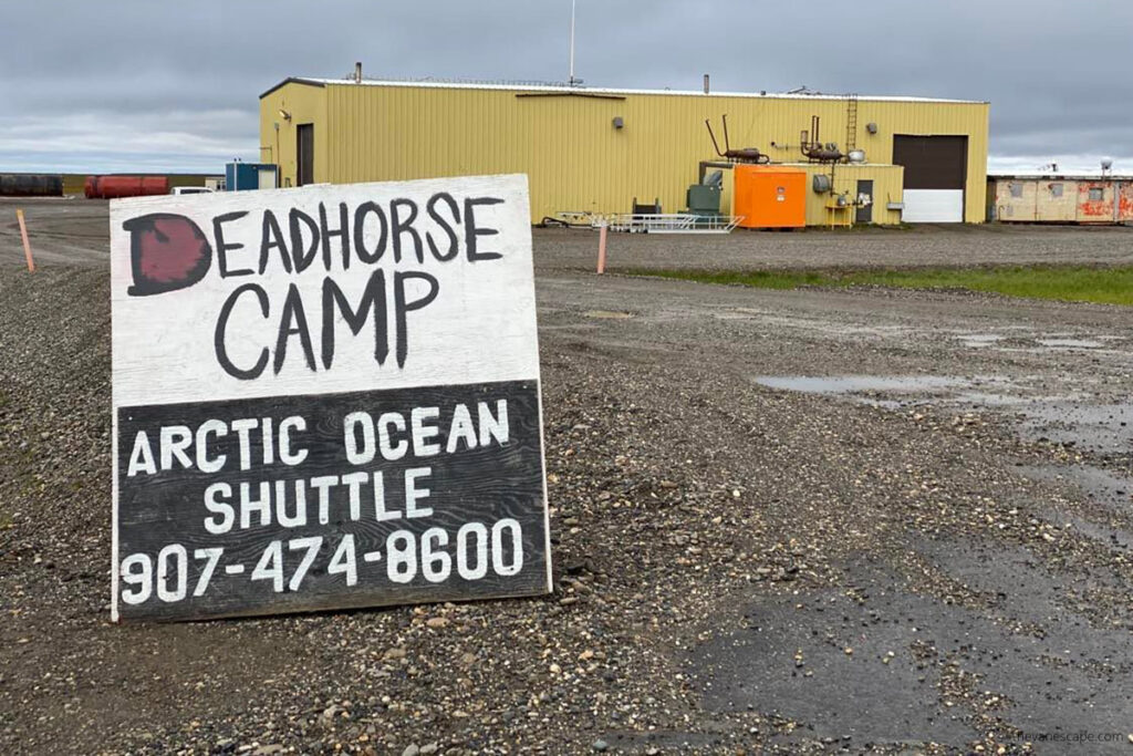 Deadhorse camp