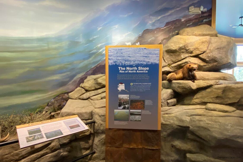 exhibits in Arctic Interagency Visitor Center
