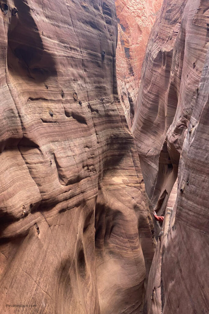 Agnes squeezed Zebra Slot Canyon in Utah