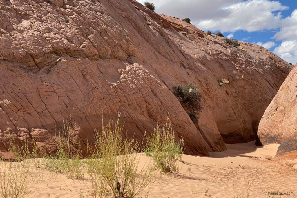 Zebra Slot Canyon hike