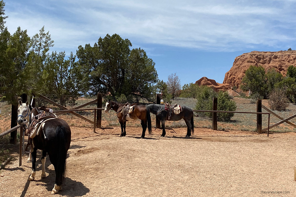 horseback riding in Kodachrome