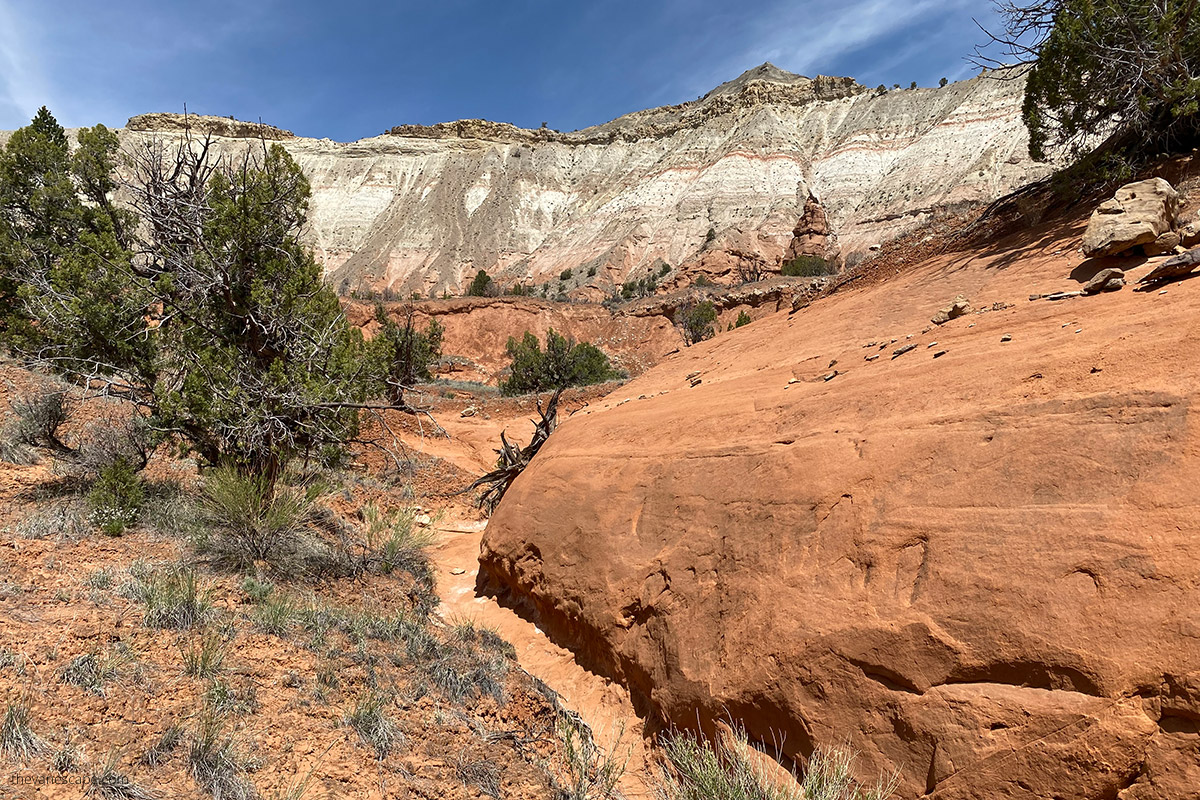 rocks in Kodachrome Basin State park