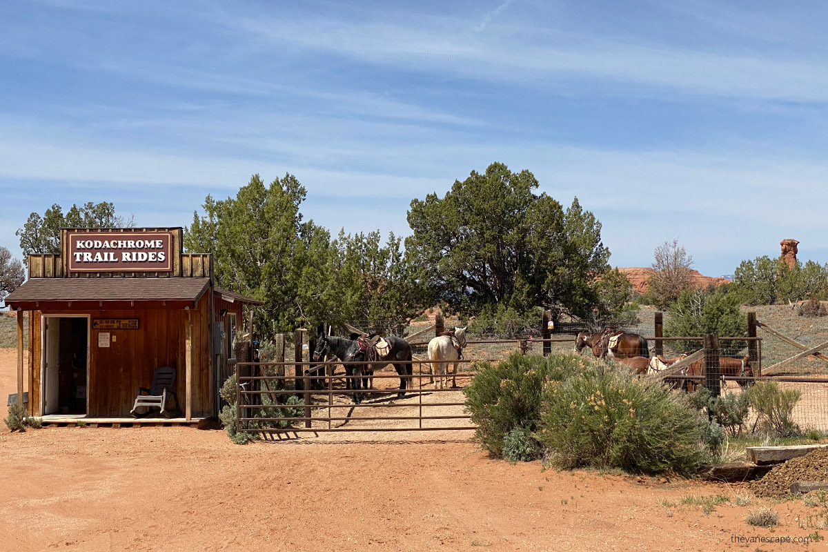 Kodachrome Trail Rides