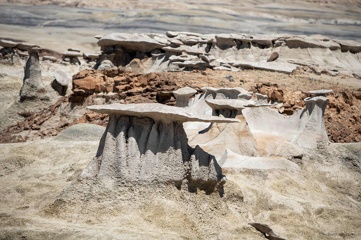 the wings in Bisti