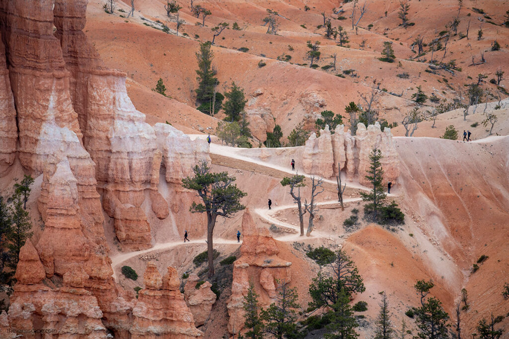 one of the best things to do in Bryce Canyon National Park is hiking and on picture people are on the serpentinous trail among red rocks.