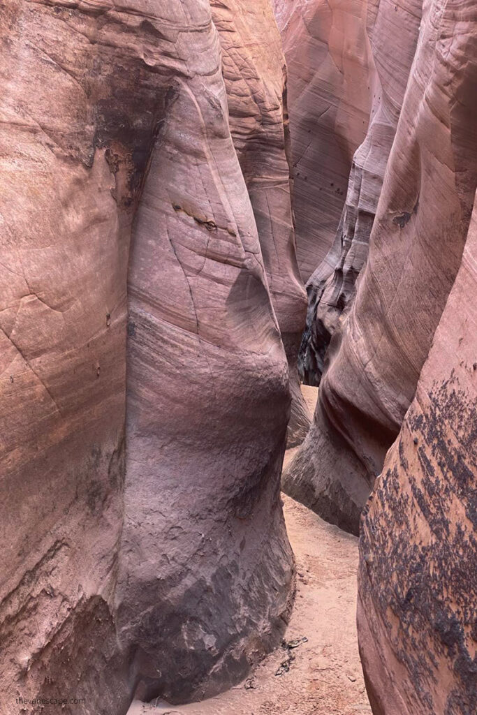 narrow walls of the Zebra Slot Canyon Hike in Utah