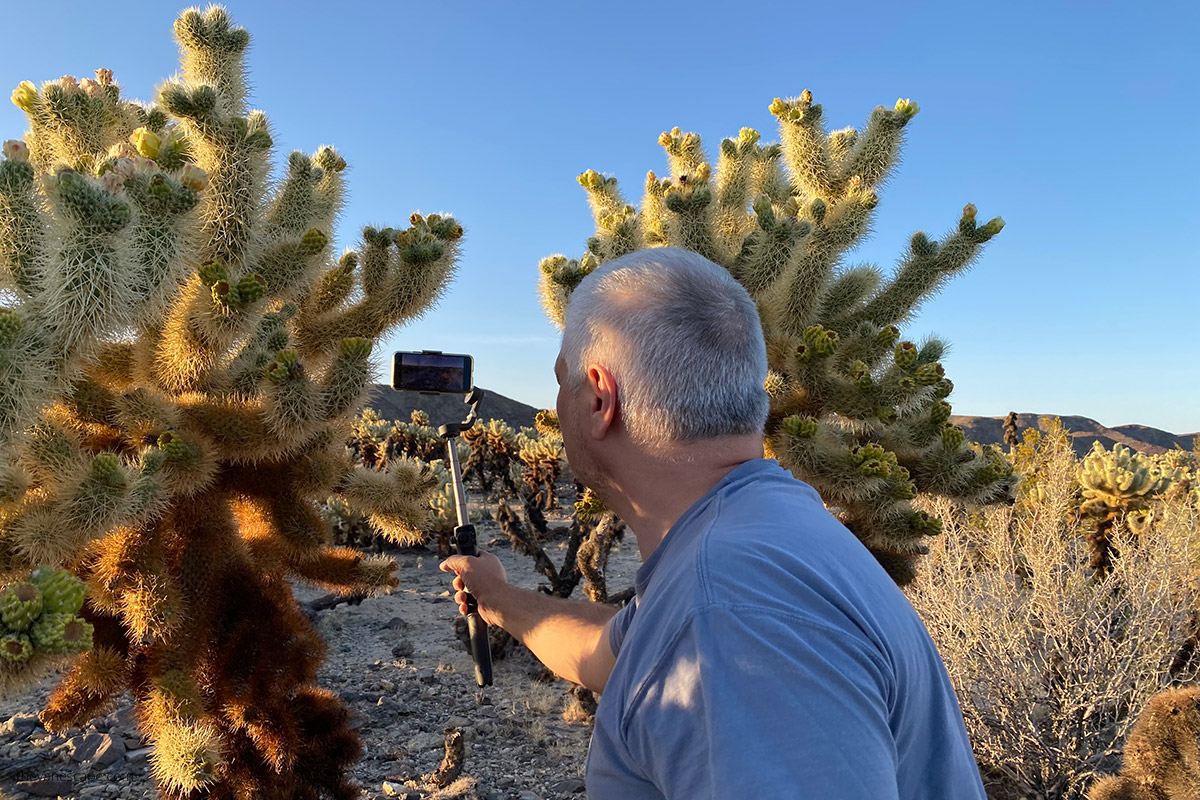 Chris filming cactus in Joshua Tree National Park