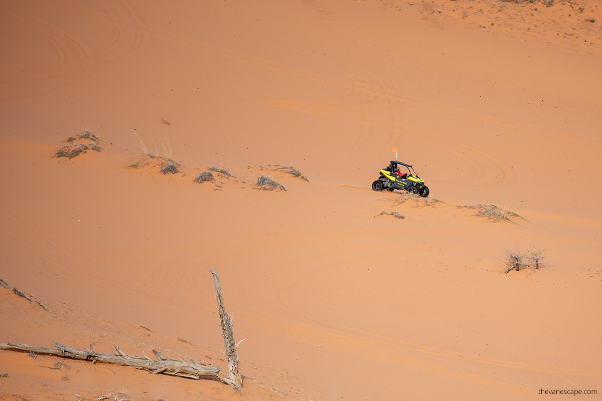 Find Bigfoot at Coral Pink Sand Dunes