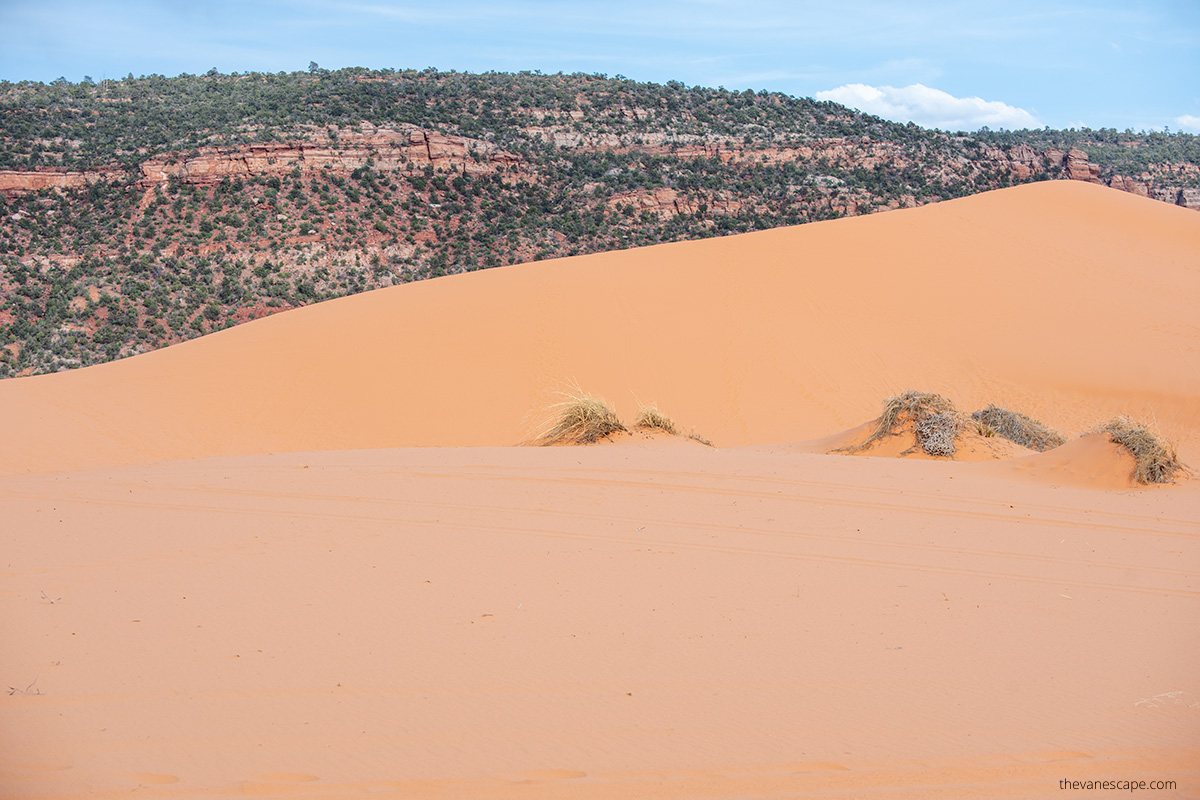 Coral Pink Sand Dunes State Park