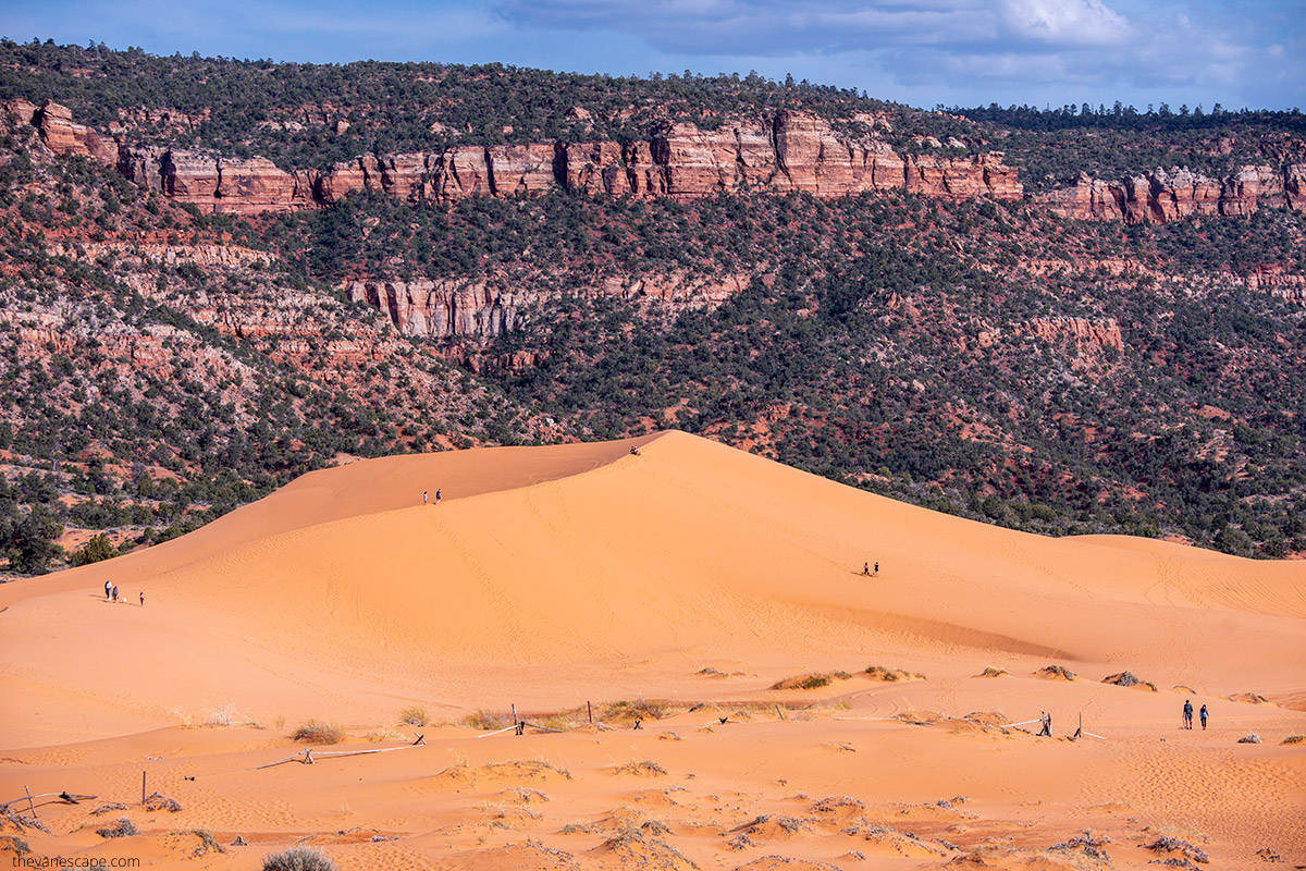 Alaska sand dunes hint at ancient past