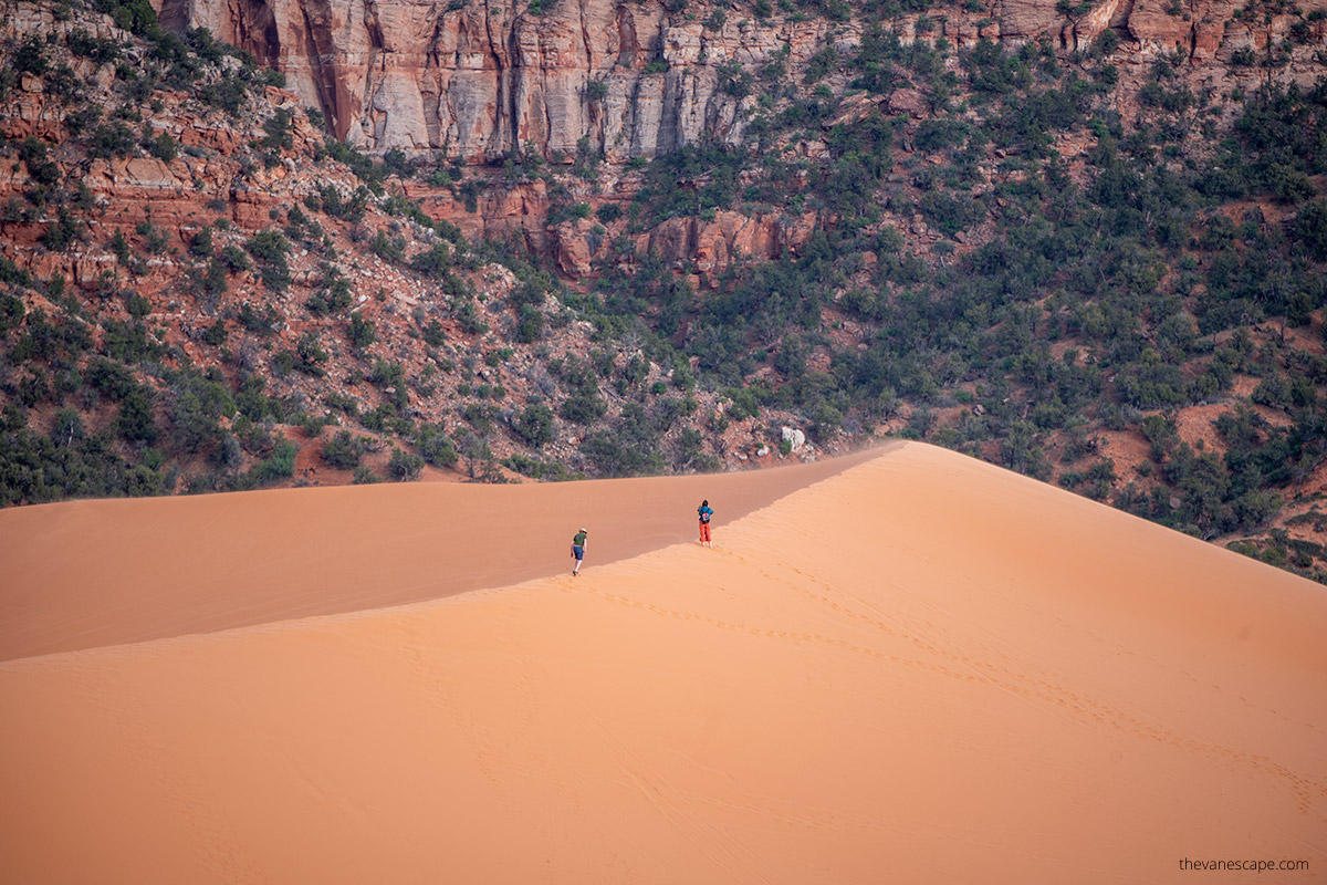 hiking on the top of Coral Pink Sand Dunes State Park in Utah near Kanab