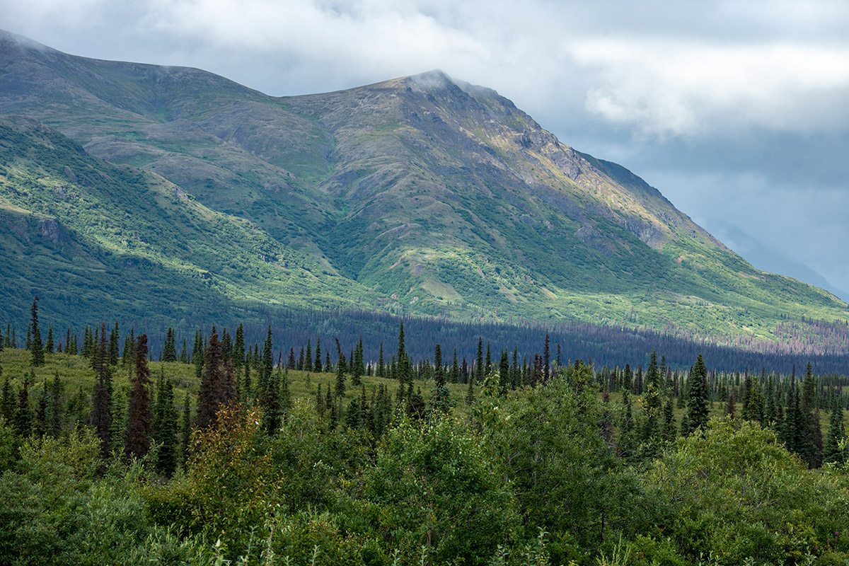 Mountains in Denali State Park