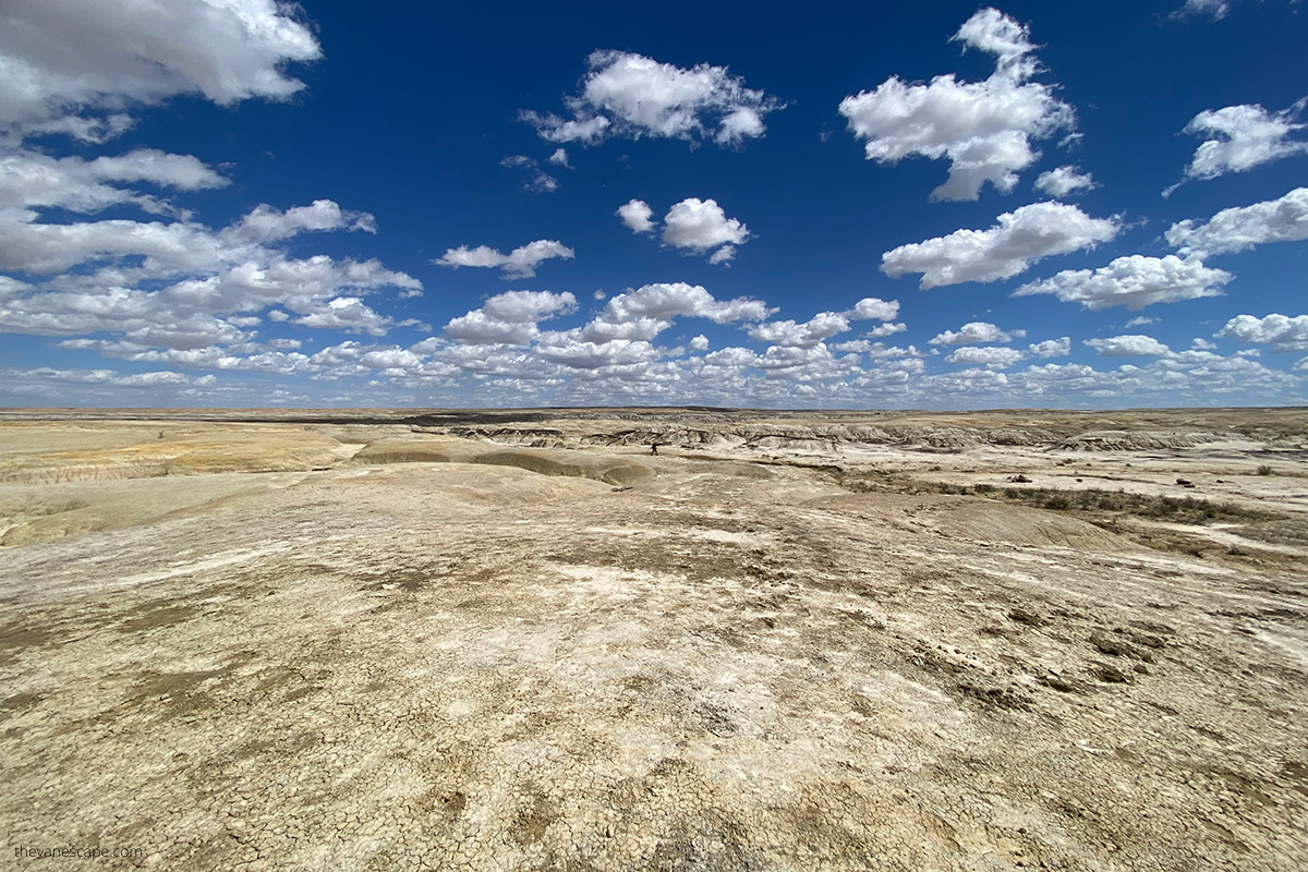 New Mexico desert