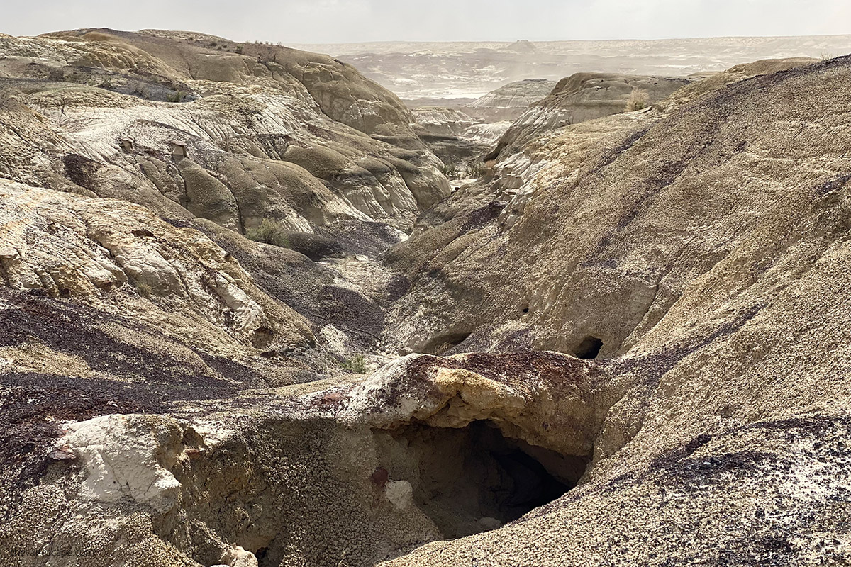 desert landscape