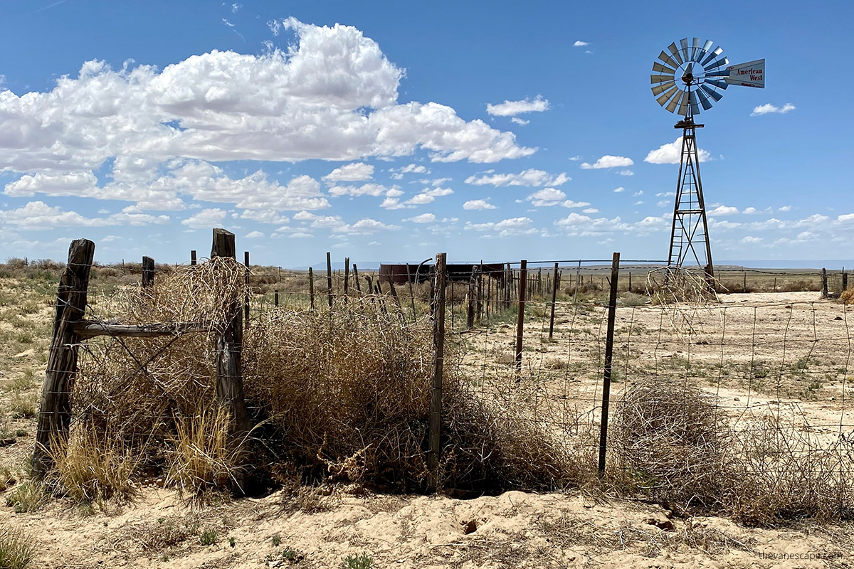 King of Wings New Mexico trailhead Locations