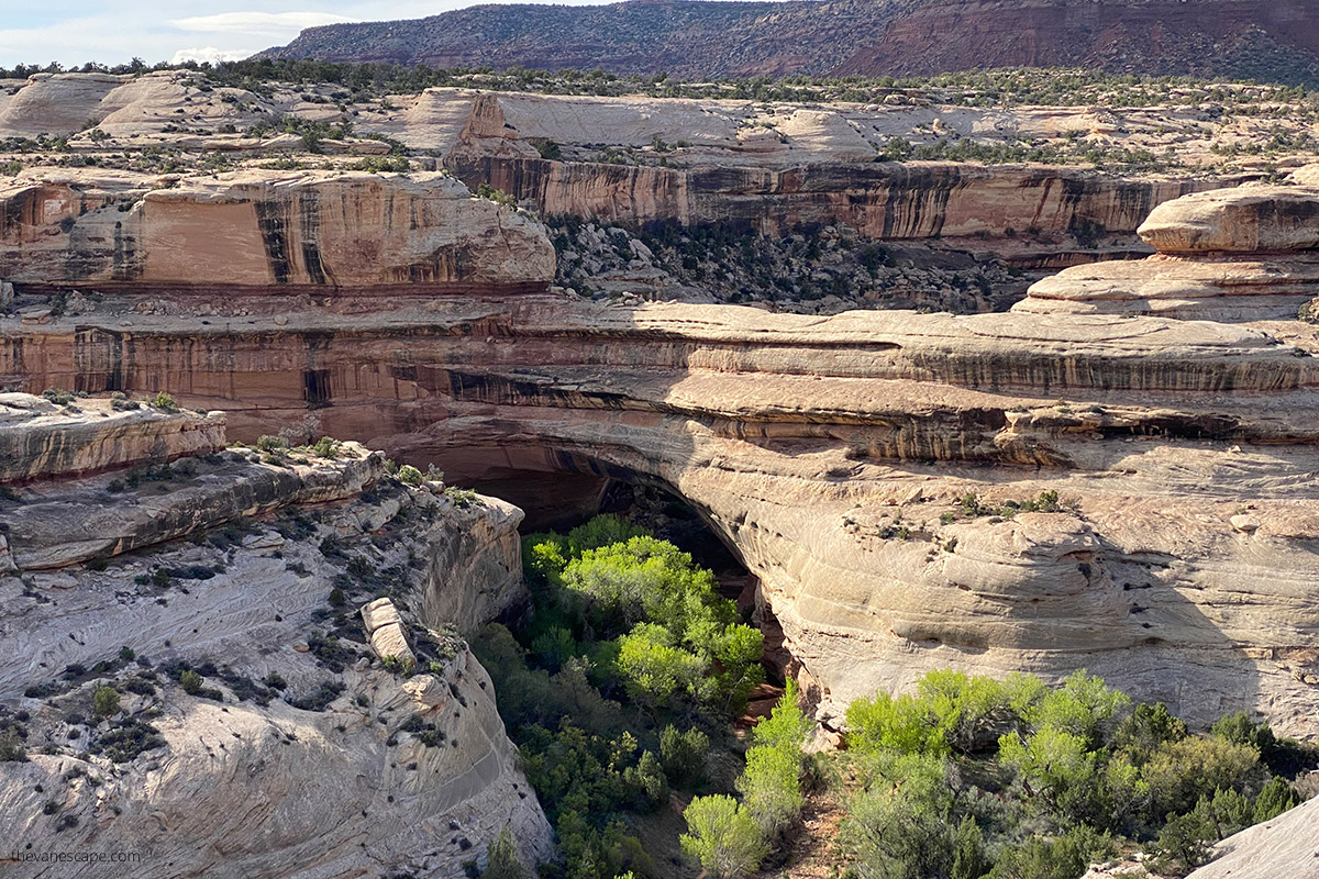 Natural Bridges National Monument in Utah